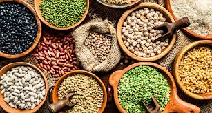 legume