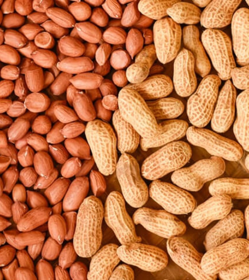 Peanut