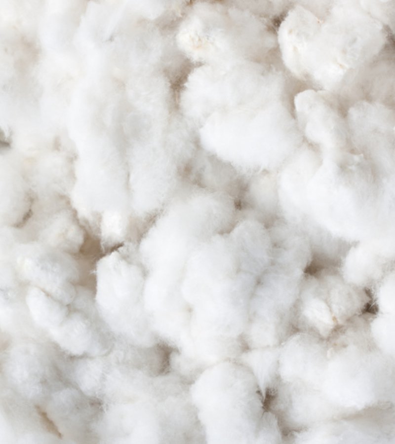 Cotton